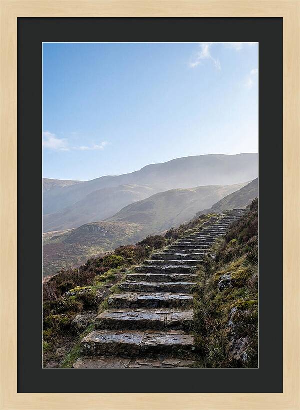 Stone Steps Ascending Misty Hillside