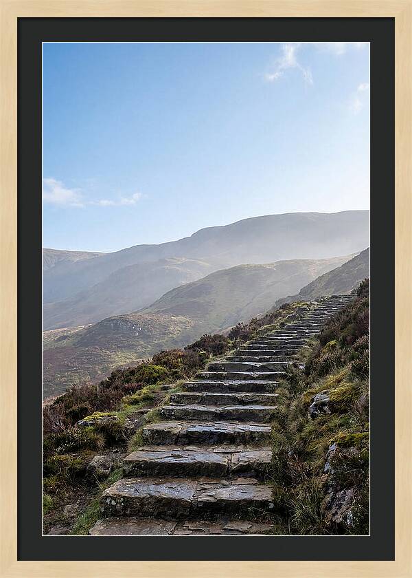 Stone Steps Ascending Misty Hillside