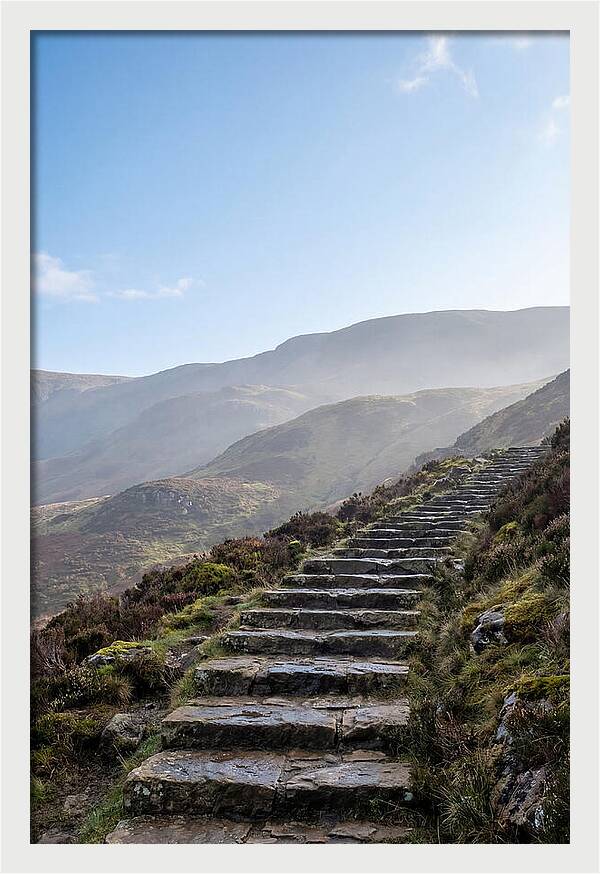Stone Steps Ascending Misty Hillside