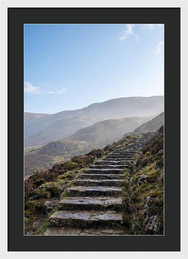 Stone Steps Ascending Misty Hillside