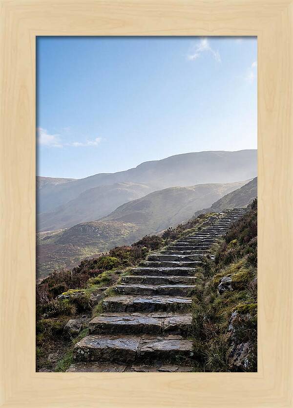 Stone Steps Ascending Misty Hillside