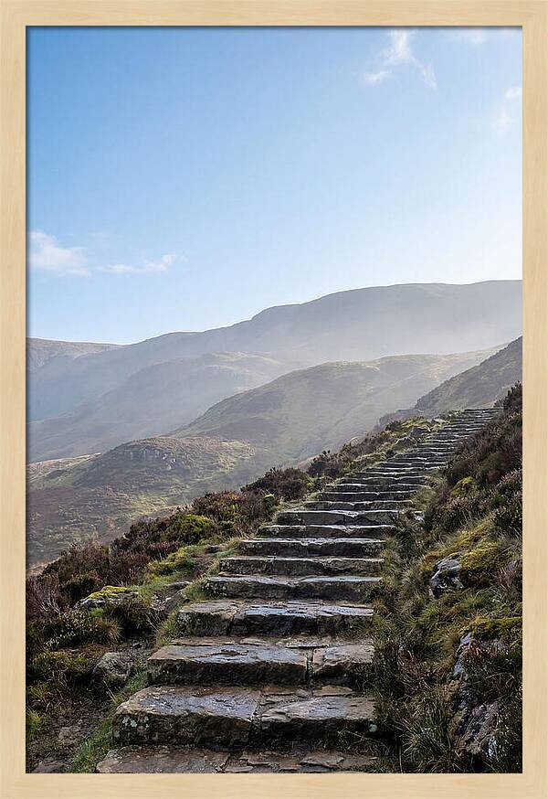 Stone Steps Ascending Misty Hillside