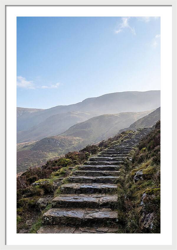 Stone Steps Ascending Misty Hillside