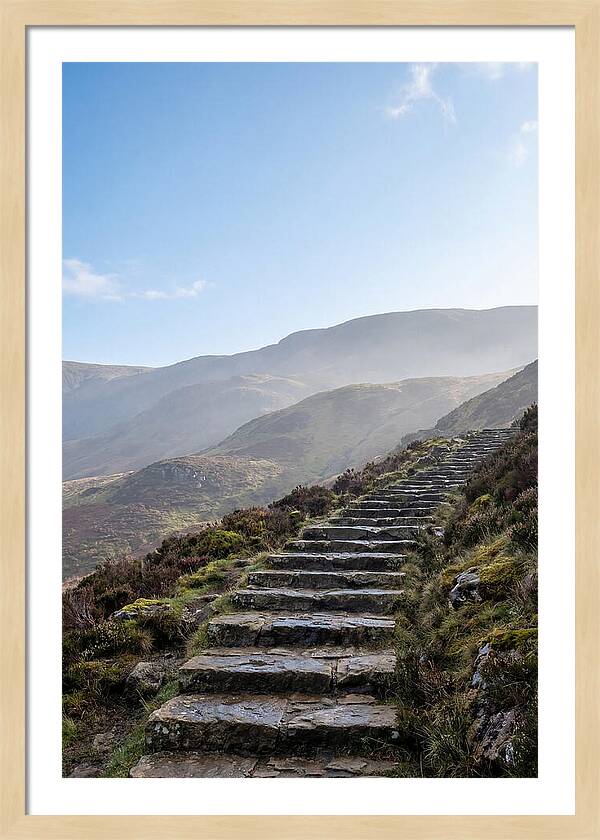 Stone Steps Ascending Misty Hillside