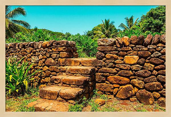 Stone Steps Through Nature