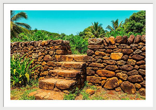 Stone Steps Through Nature