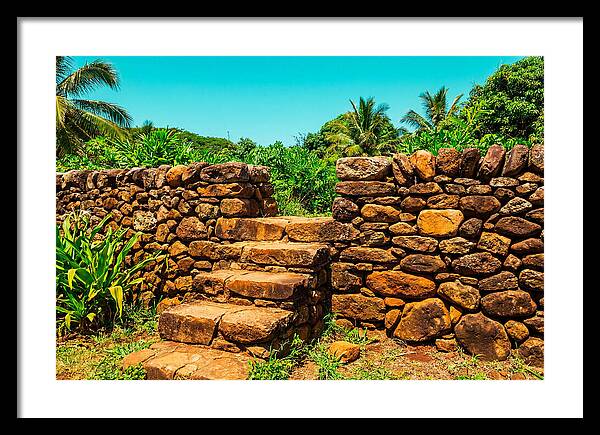 Stone Steps Through Nature