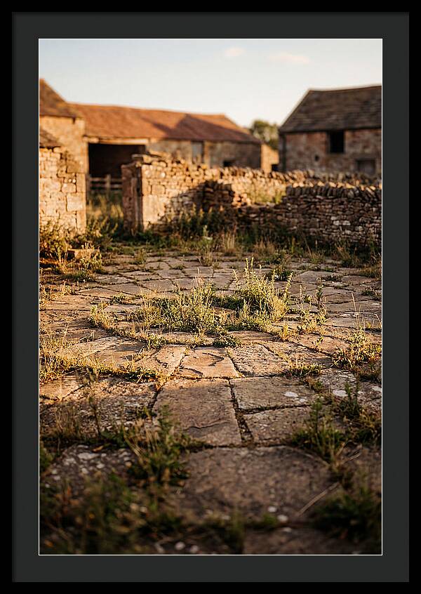 Stone Threshing Floor Circle