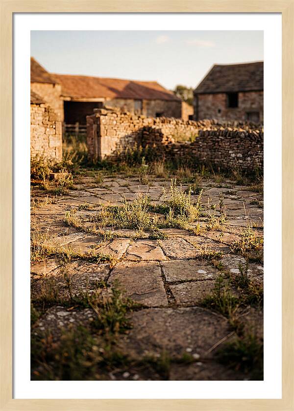 Stone Threshing Floor Circle