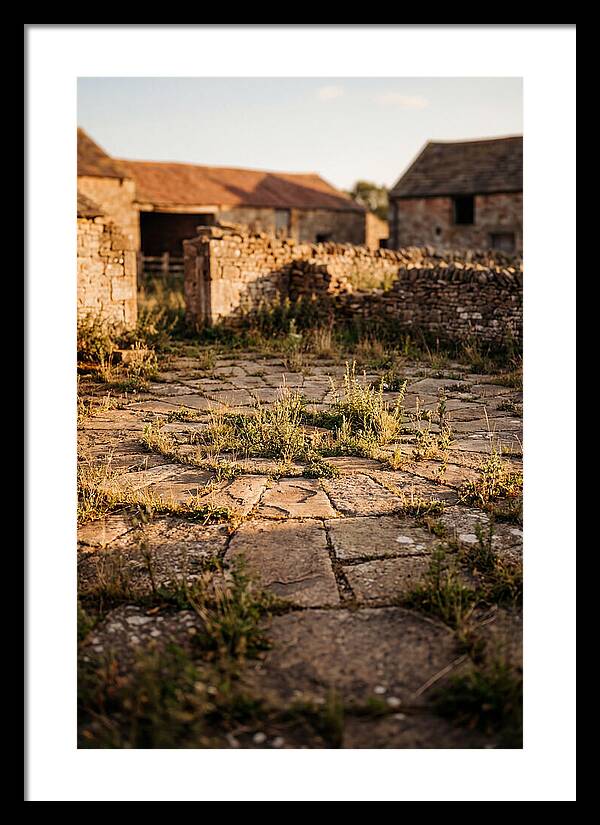 Stone Threshing Floor Circle
