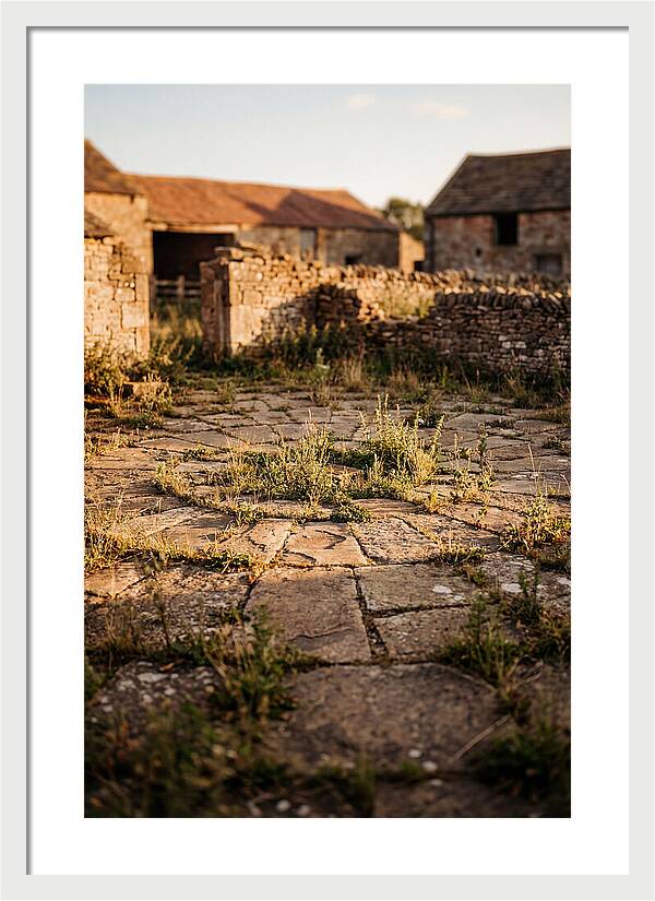 Stone Threshing Floor Circle