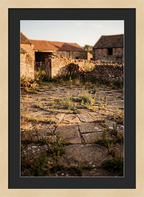 Stone Threshing Floor Circle