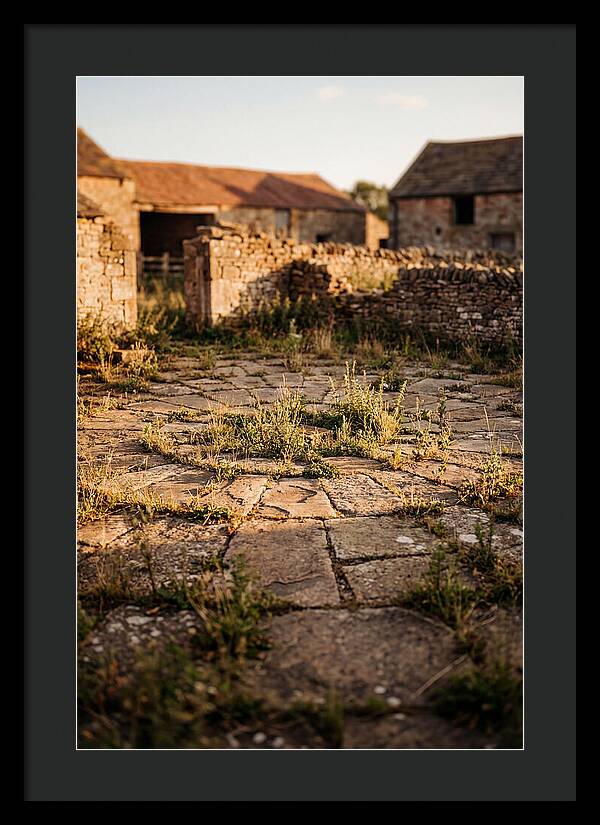 Stone Threshing Floor Circle