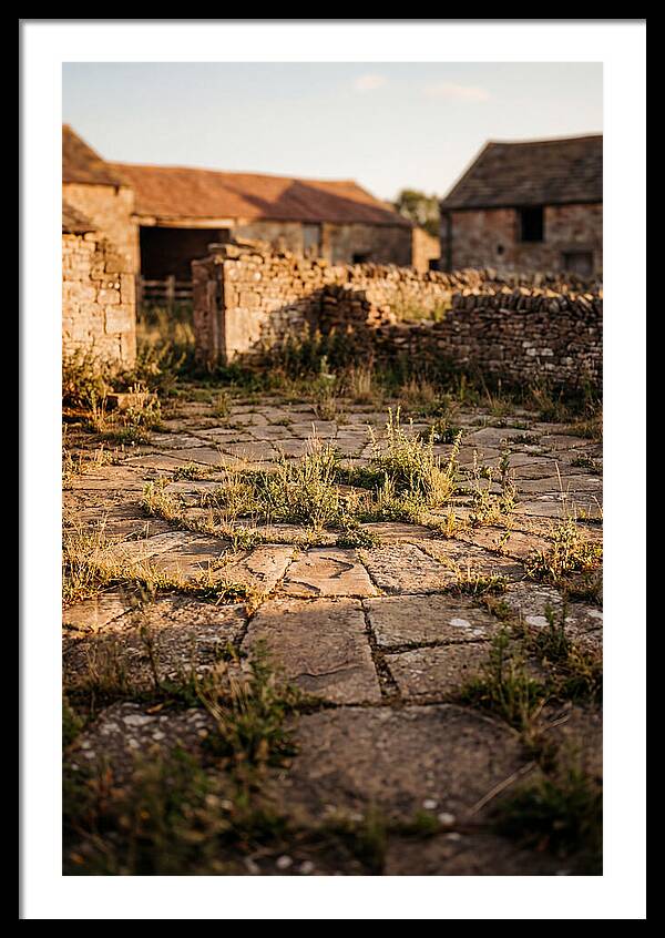 Stone Threshing Floor Circle