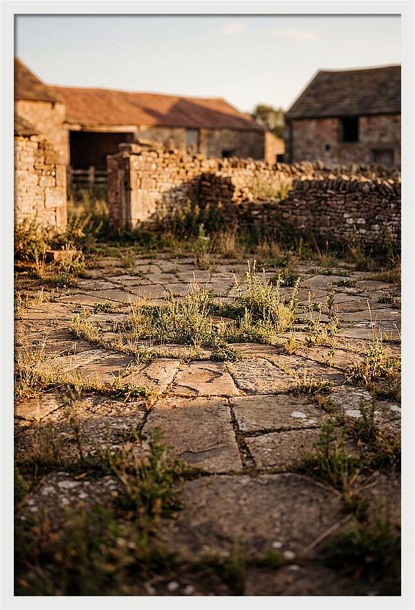 Stone Threshing Floor Circle