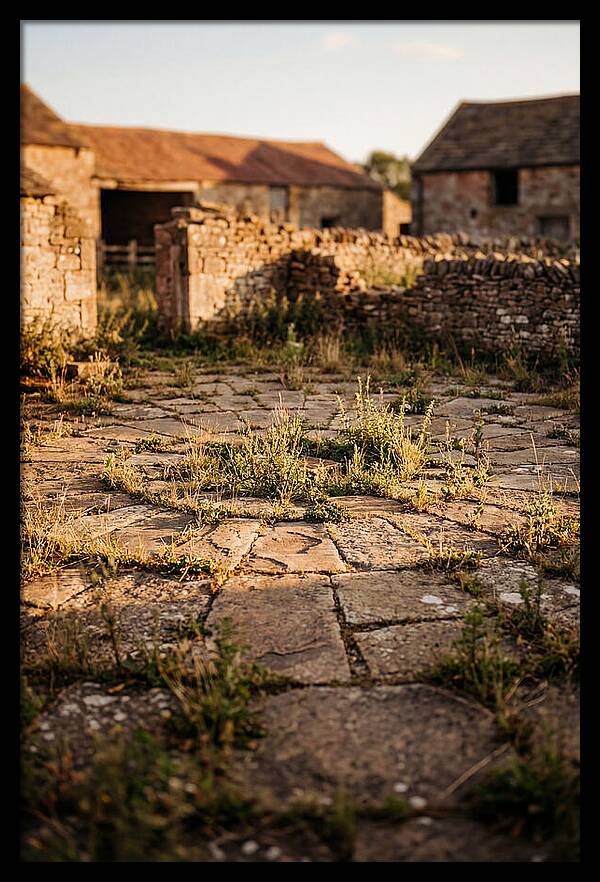 Stone Threshing Floor Circle