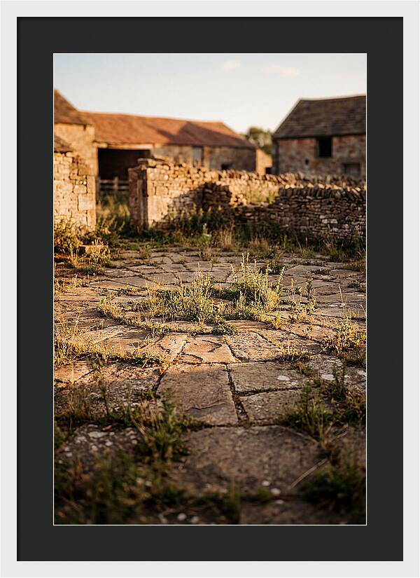 Stone Threshing Floor Circle
