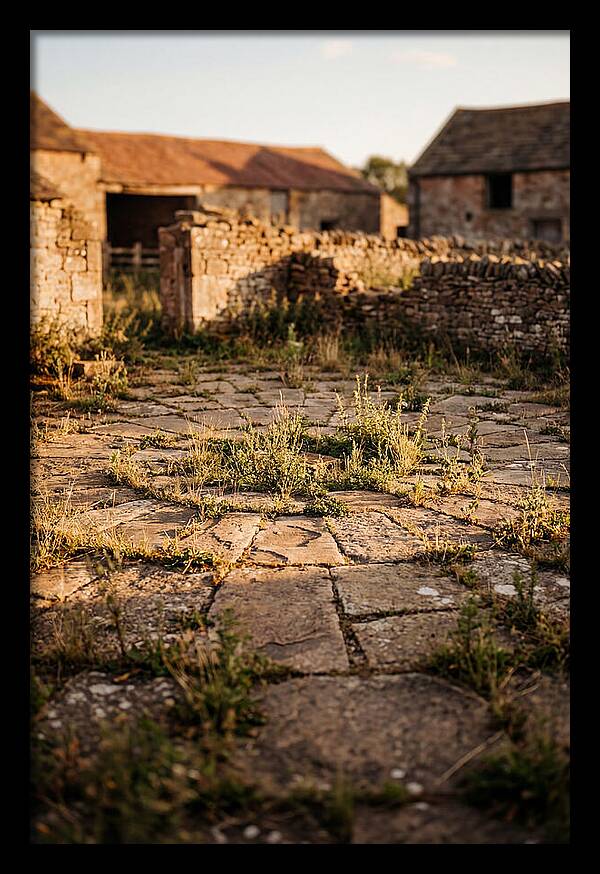 Stone Threshing Floor Circle