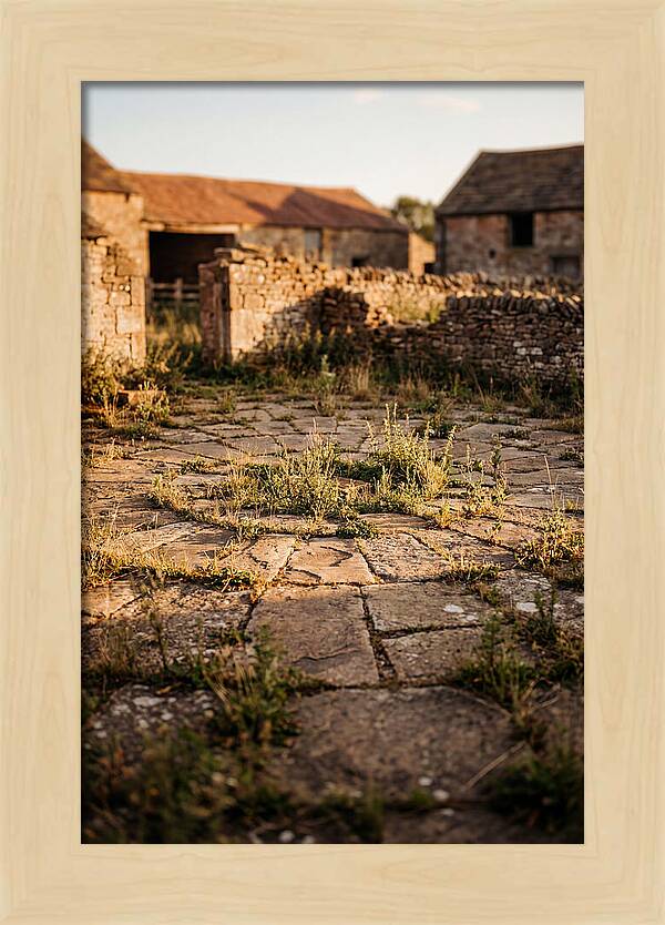 Stone Threshing Floor Circle