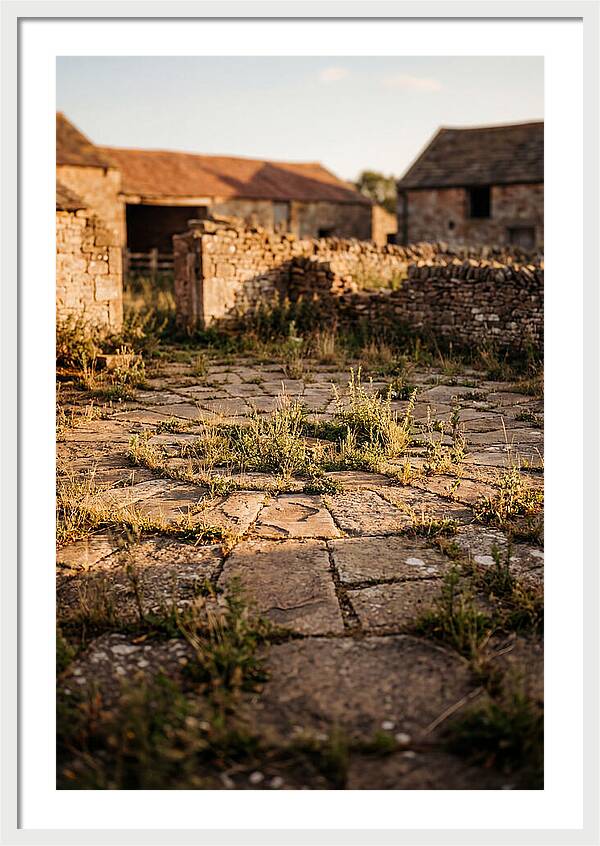 Stone Threshing Floor Circle