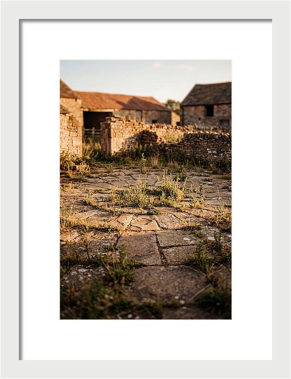 Stone Threshing Floor Circle