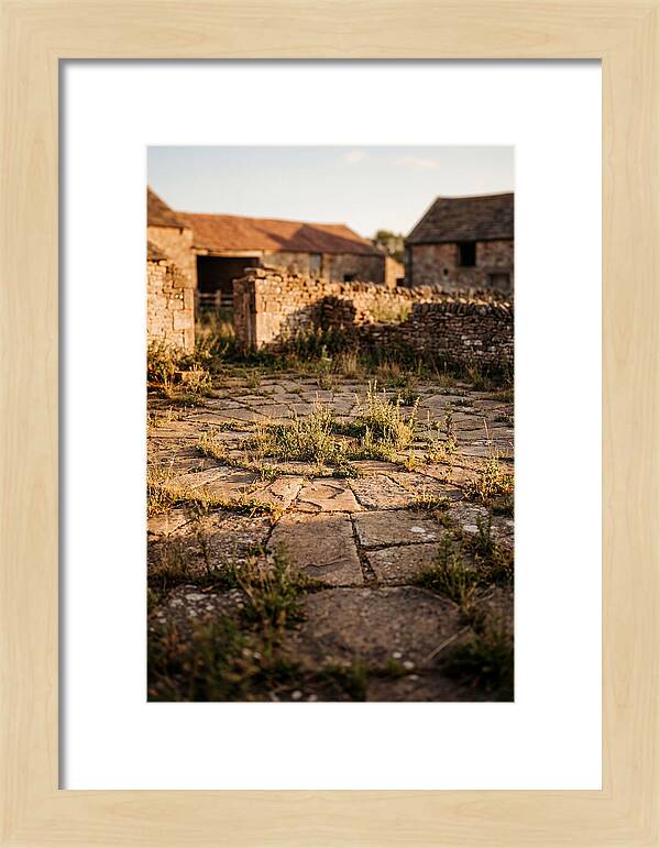 Stone Threshing Floor Circle