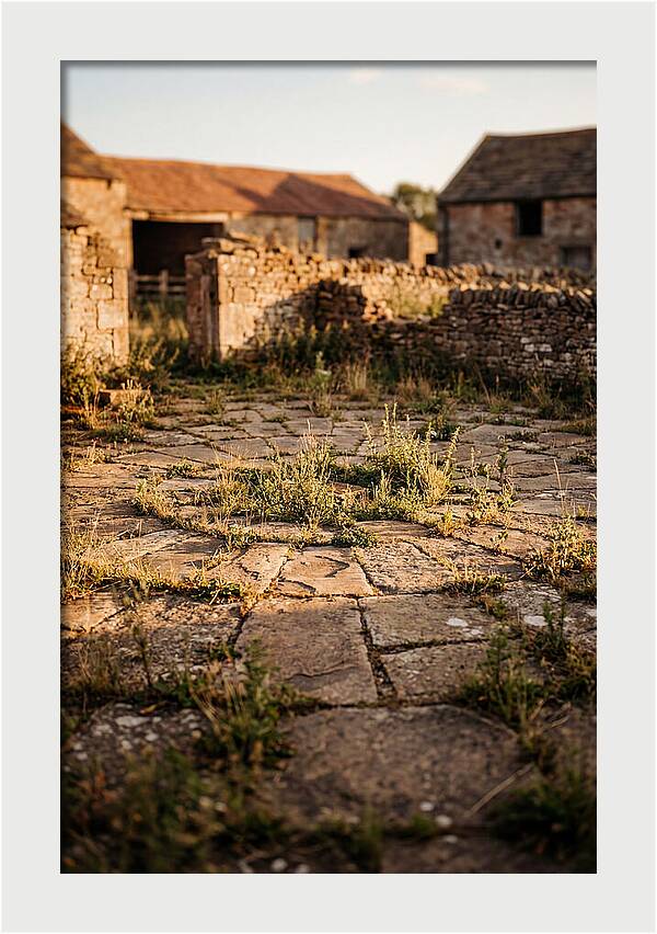 Stone Threshing Floor Circle