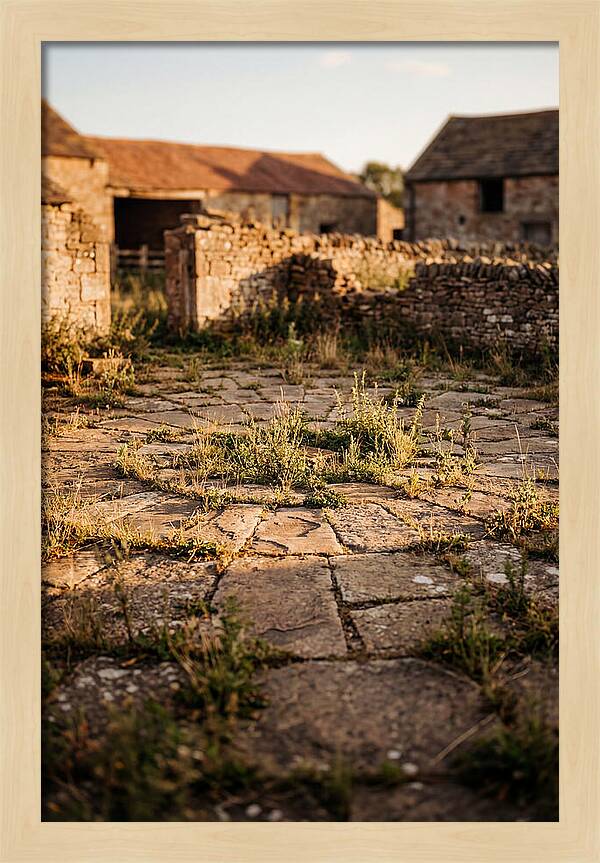 Stone Threshing Floor Circle