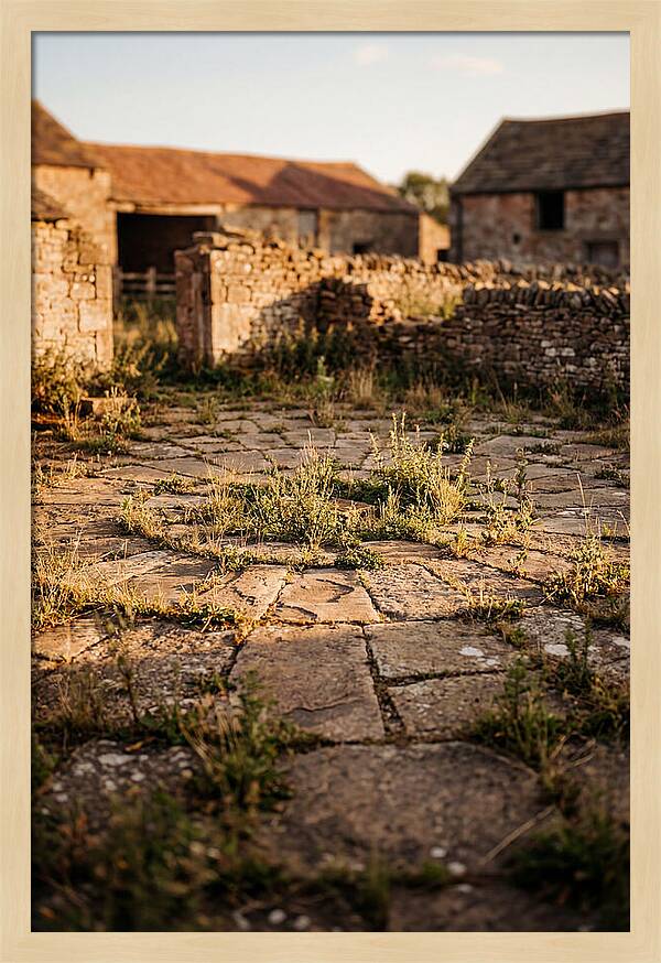 Stone Threshing Floor Circle