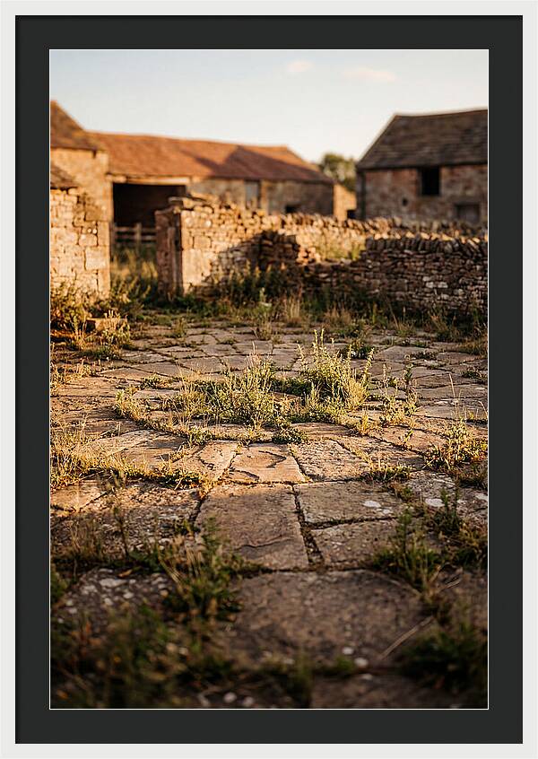 Stone Threshing Floor Circle