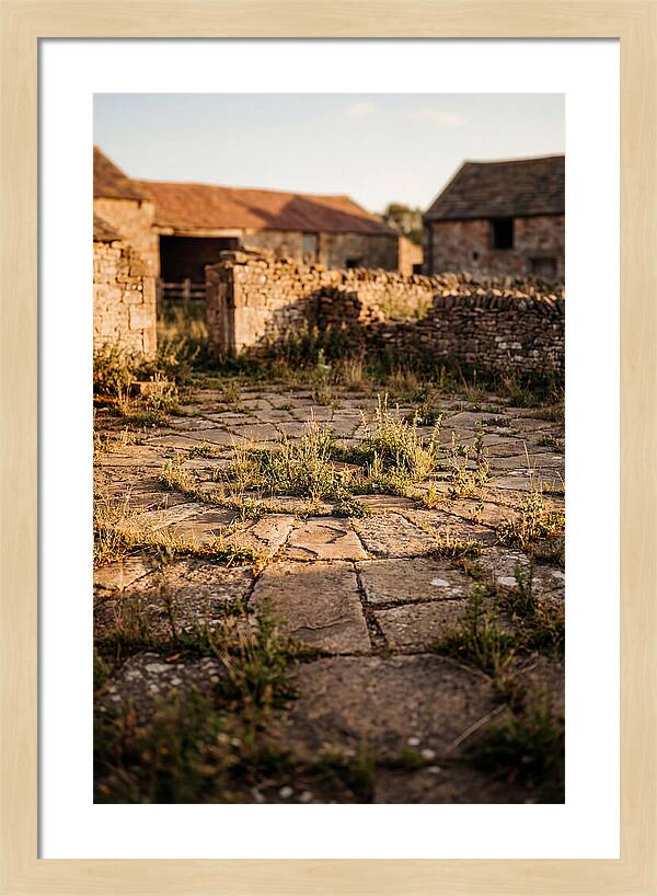 Stone Threshing Floor Circle