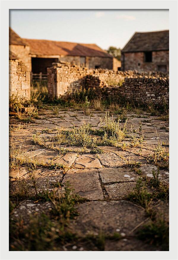 Stone Threshing Floor Circle