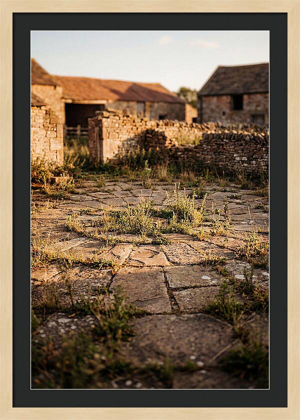 Stone Threshing Floor Circle