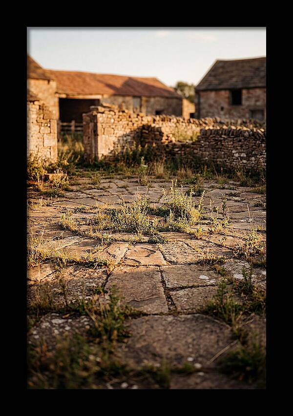 Stone Threshing Floor Circle
