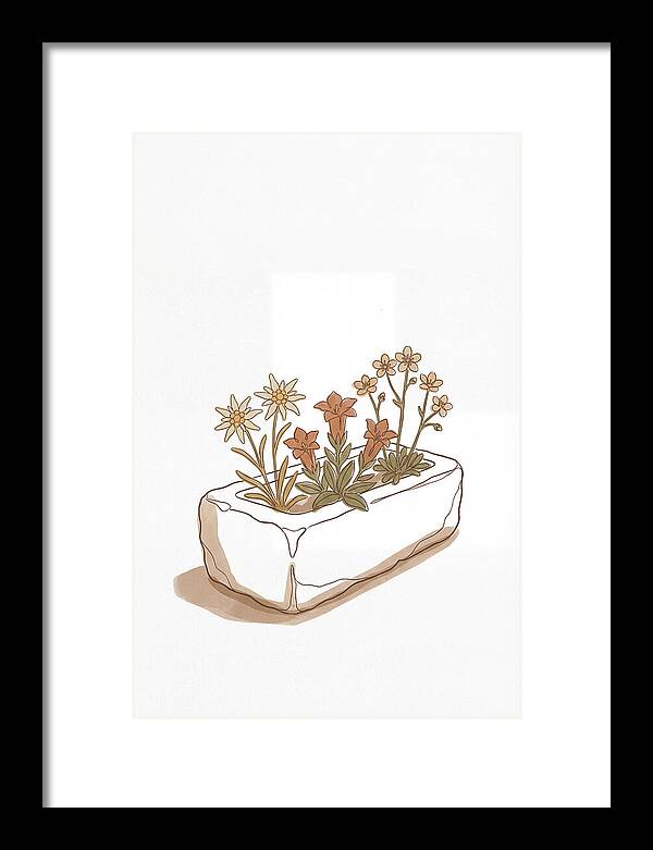 Stone Trough Planted With Alpine Flowers
