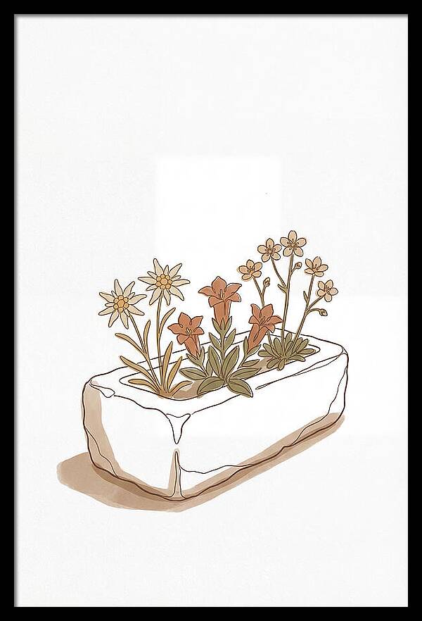 Stone Trough Planted With Alpine Flowers