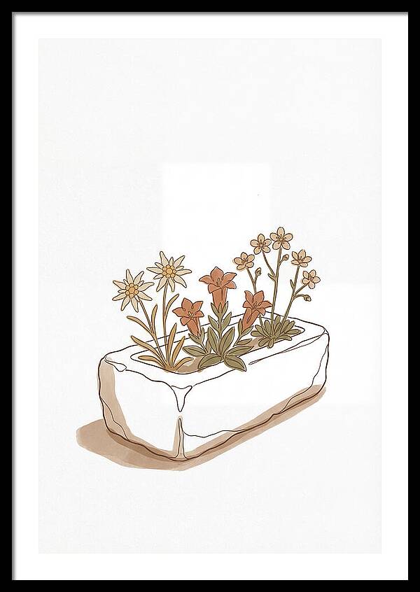 Stone Trough Planted With Alpine Flowers