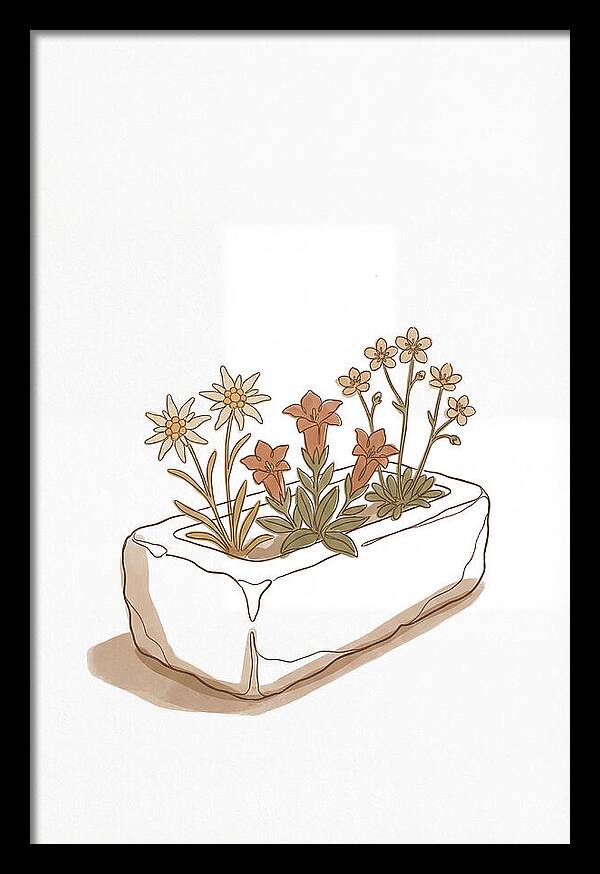 Stone Trough Planted With Alpine Flowers