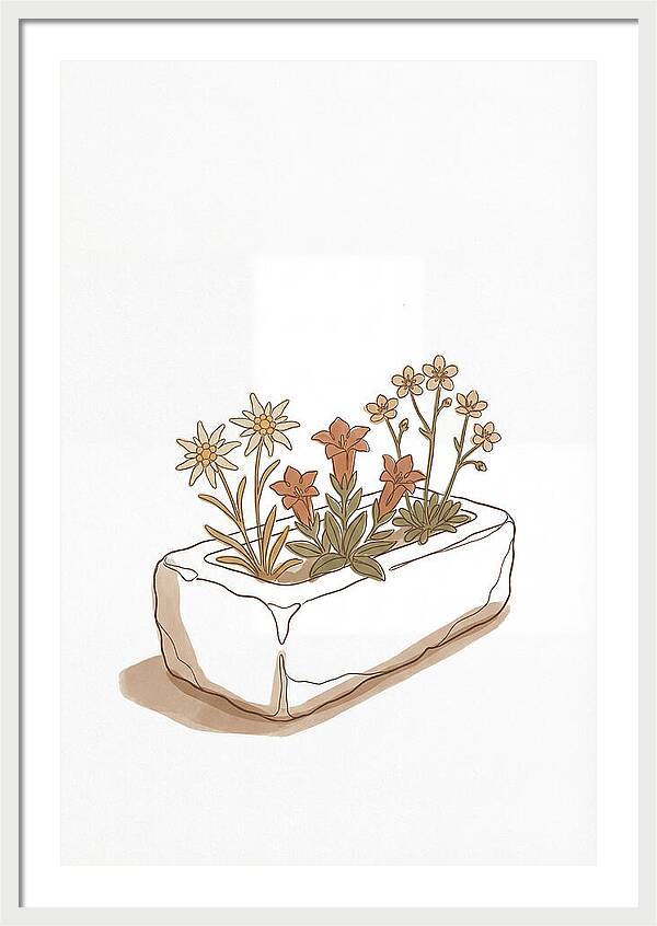 Stone Trough Planted With Alpine Flowers
