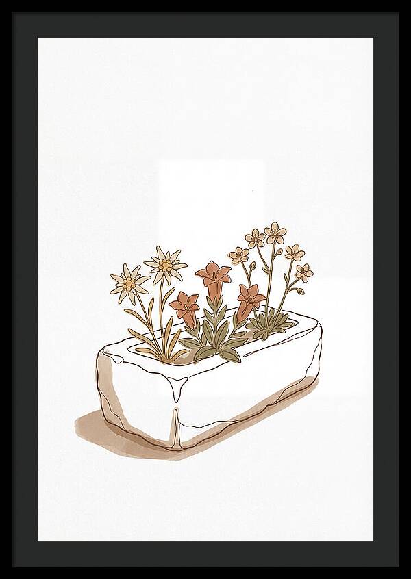 Stone Trough Planted With Alpine Flowers