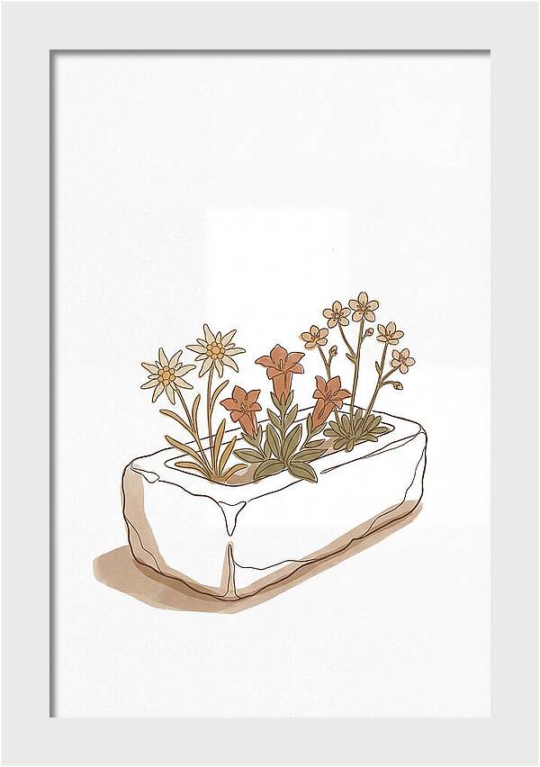 Stone Trough Planted With Alpine Flowers