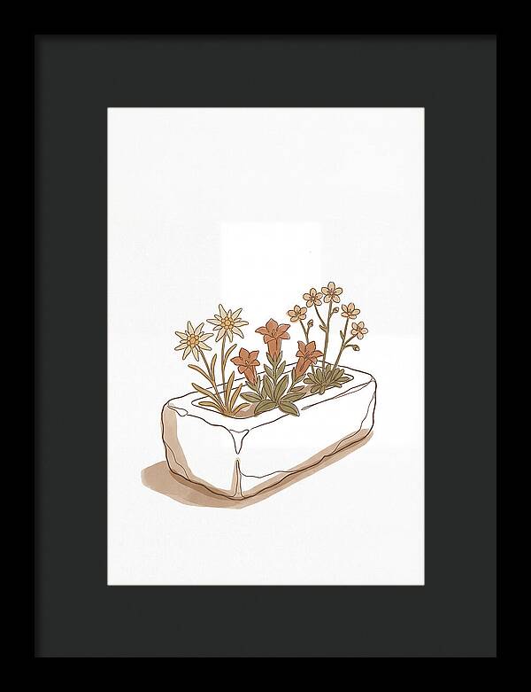 Stone Trough Planted With Alpine Flowers