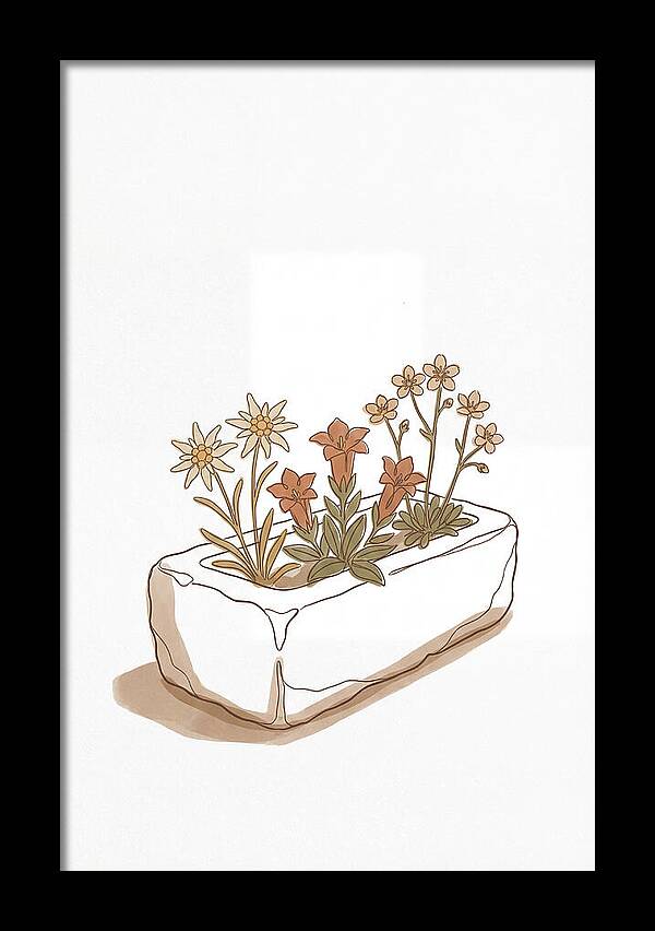 Stone Trough Planted With Alpine Flowers