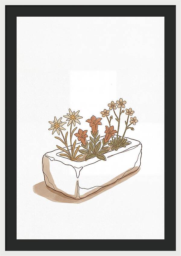 Stone Trough Planted With Alpine Flowers
