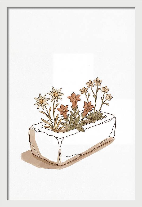 Stone Trough Planted With Alpine Flowers