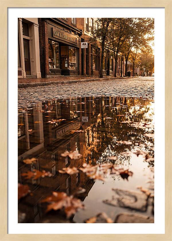 Storefront Reflection In Autumn Puddle