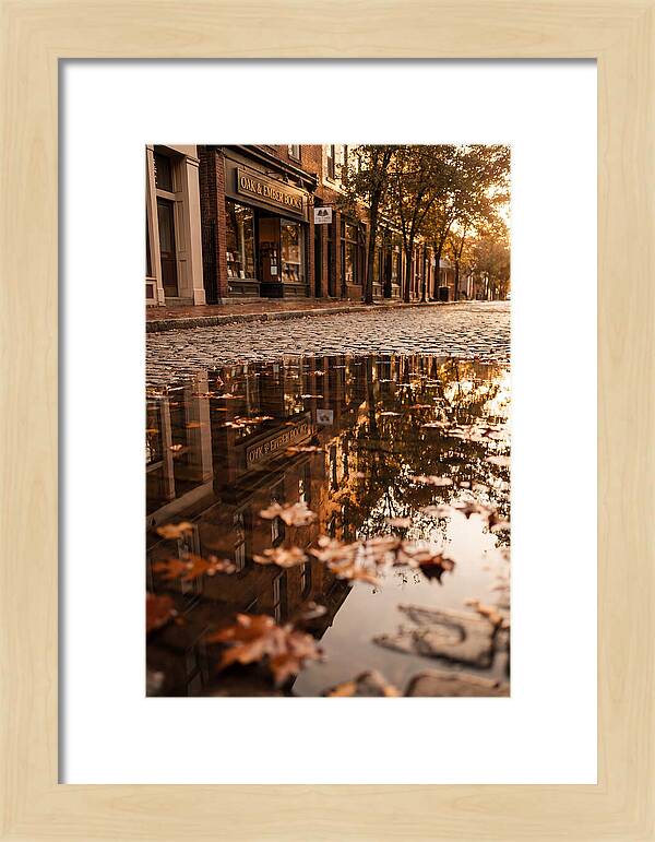 Storefront Reflection In Autumn Puddle