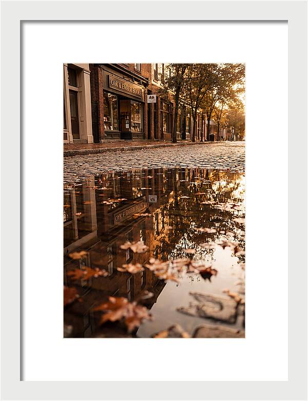Storefront Reflection In Autumn Puddle