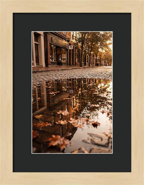 Storefront Reflection In Autumn Puddle