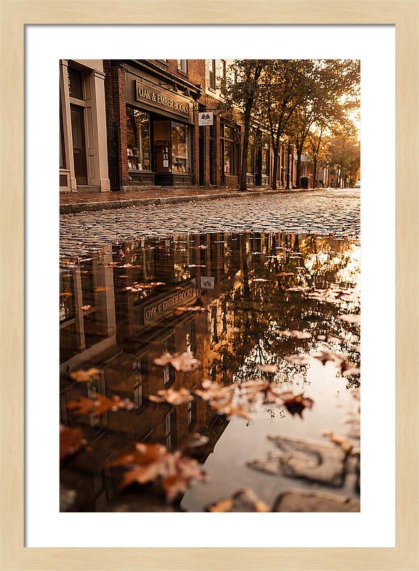 Storefront Reflection In Autumn Puddle